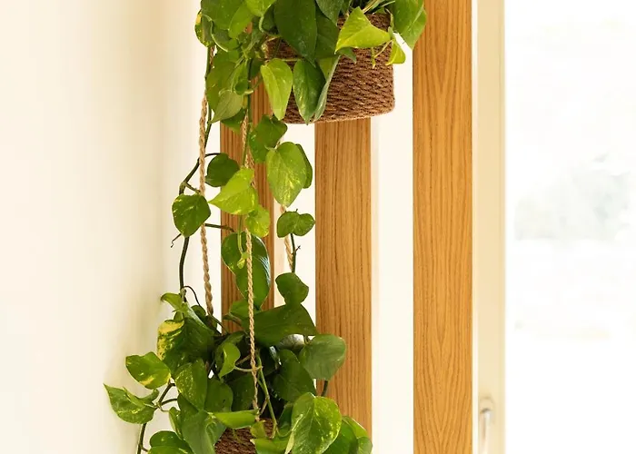 Costa Dorata Seaside Villa