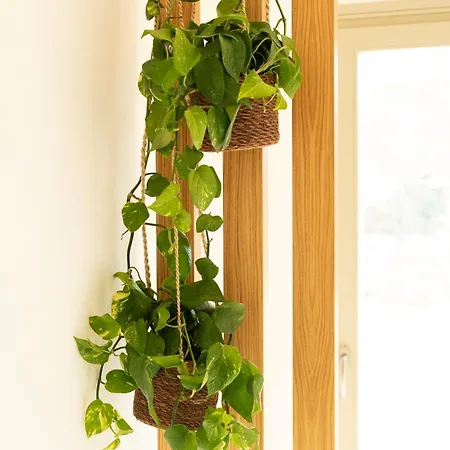 Costa Dorata Seaside Villa